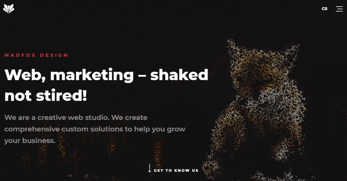 We are a creative web studio | MadFox design